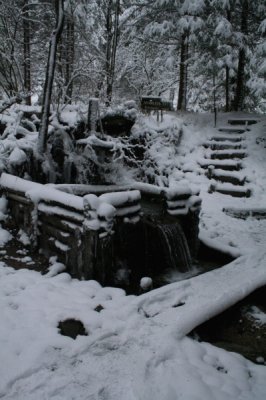 Zimski ambijent, Skupstina eko sela