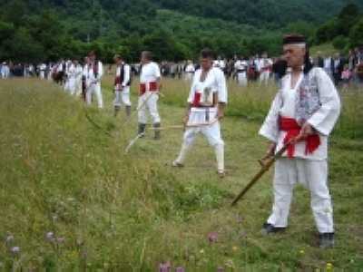 kosidba_2011.jpg