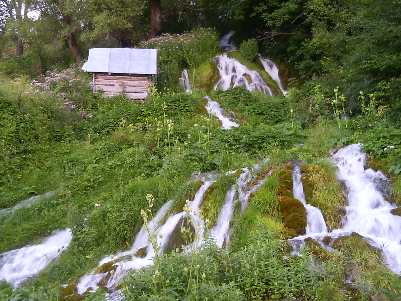 pict0159.jpg