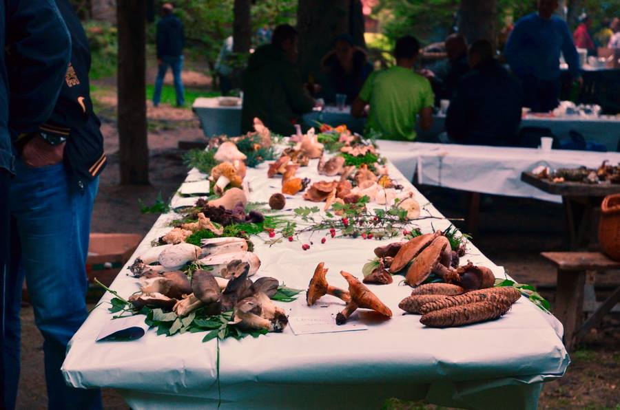 10352615_10204413592482940_7148758657473775524_n.jpg 10352615_10204413592482940_7148758657473775524_n.jpg