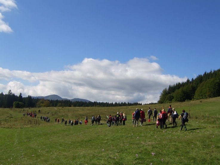 10402860_694102440673475_6854050163690364386_n.jpg 10402860_694102440673475_6854050163690364386_n.jpg