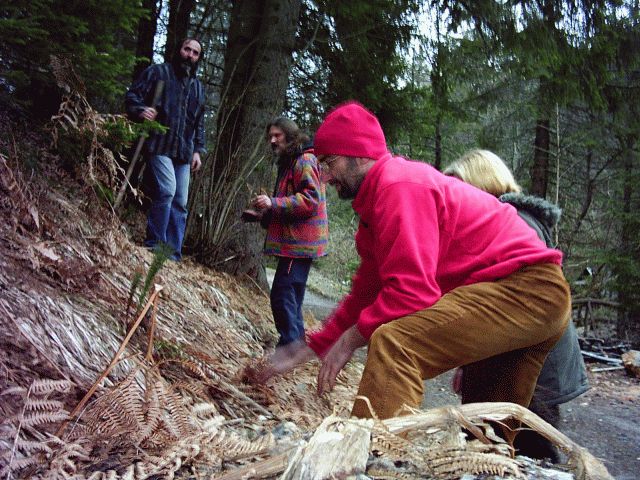 sadjenje 50 borova_1.jpg